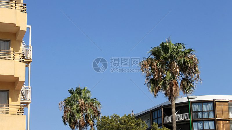 成都拓展训练定制方案，打造团队协作新篇章